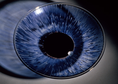 Here’s Looking at You Kid, Selections by Rebecca Redshaw